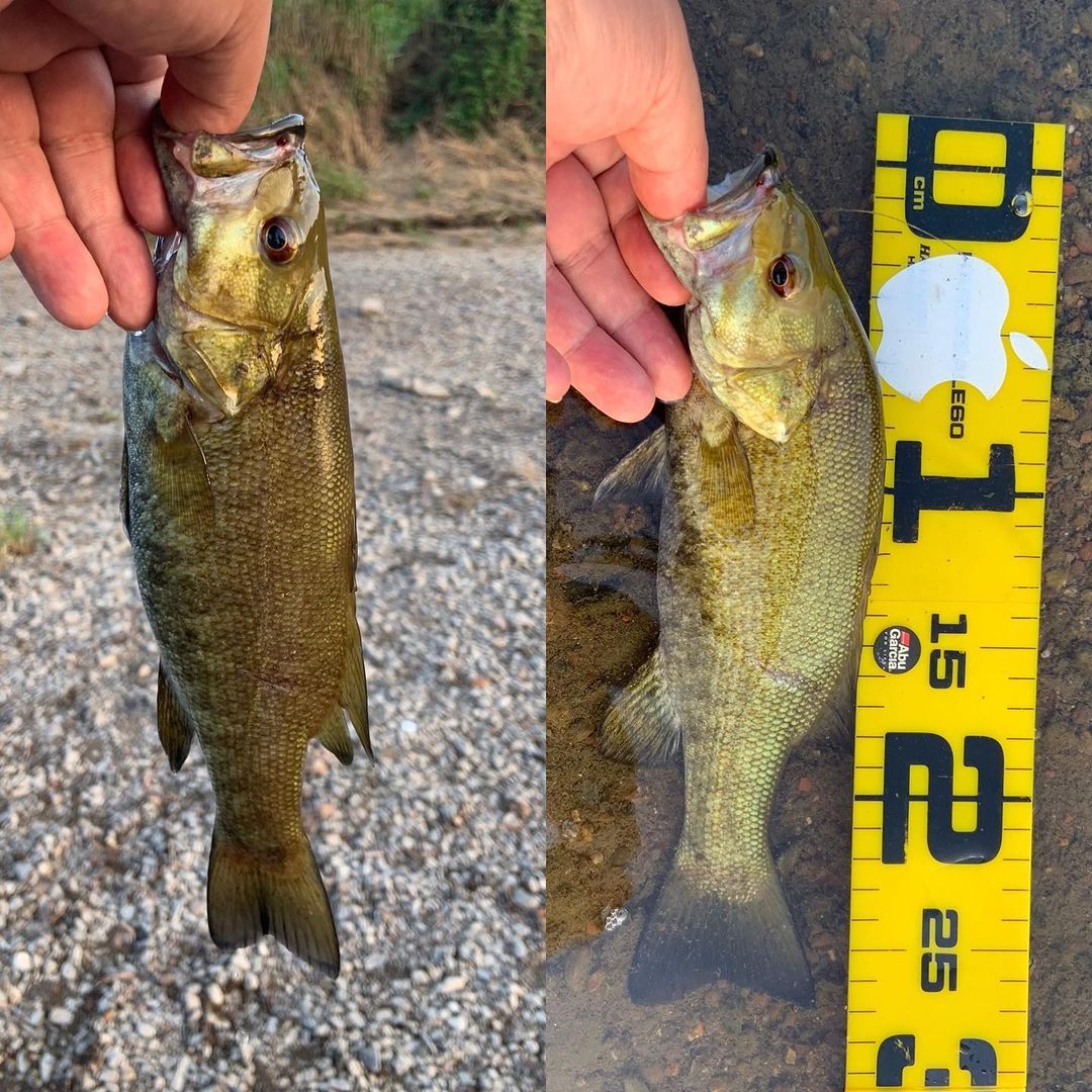 Bass Fishing 俺カッコよさ 研究所 Bass Fishing 俺カッコよさ 研究所