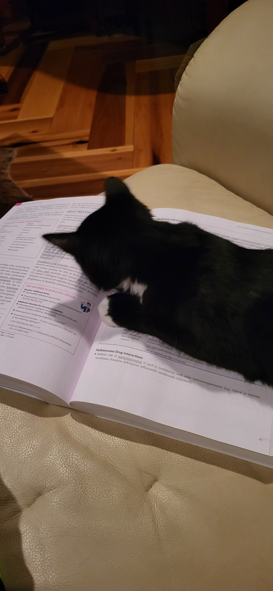 Boss Says Studying Is Important