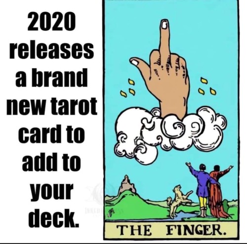 tarot memes