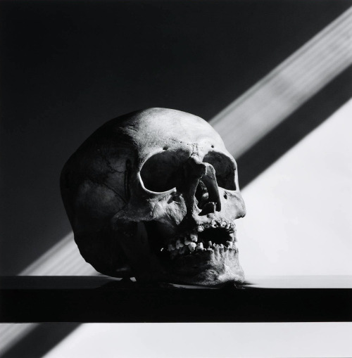 Robert Mapplethorpe (American, 1946-1989, Floral Park, Queens, NY, USA) - Skull, 1988, printed 1990,