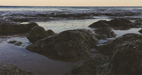 pedromgabriel:  - Ocean flows at dusk -{ Olhos de Água Beach }Shot by me and edited