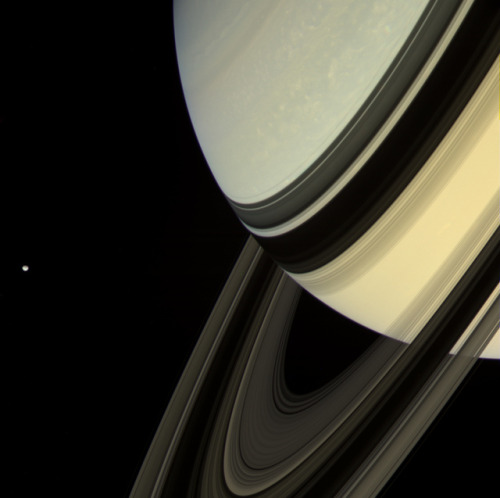 Saturn, rings and moonsNASA/JPL-Caltech/SSI/Kevin M. Gill