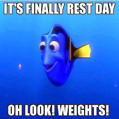 hiddensky:  Double tap if you’re addicted to the lifestyle! 💥💥💥 #restday #gymday #workhard by ultimatebodies