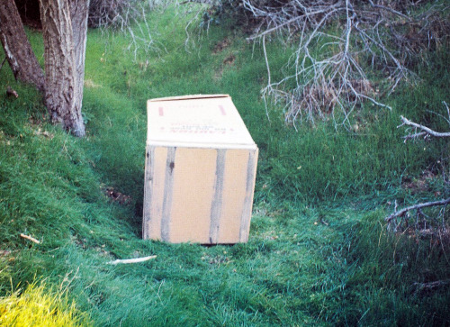 remembrane-blog: Bas Jan Ader - Tea Party (1972)