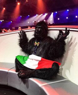 clonemoom:  when portugal wins eurovision