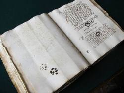 ancientorigins:Inky paw prints left by a