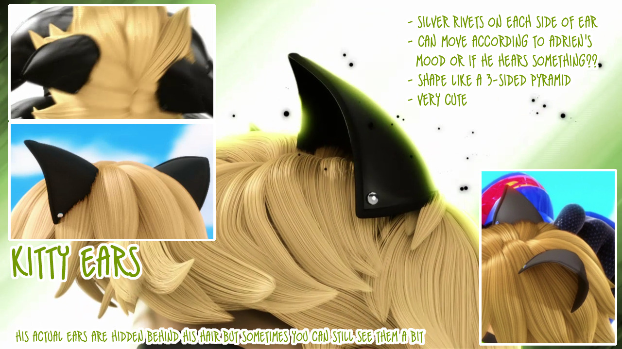 Miraculous Reference Chat Noir S Suit Breakdown
