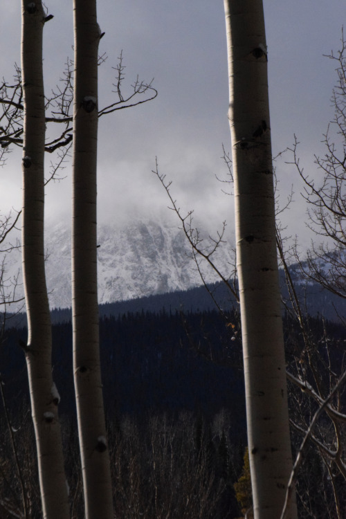 above the shrouded peaks of Eagles Nest Wildernesssonar ravens navigatethe frozen blue hollowunseen 