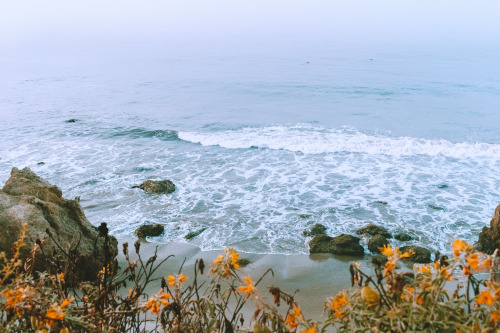 leahberman:sea story; el matador beach, californiainstagram