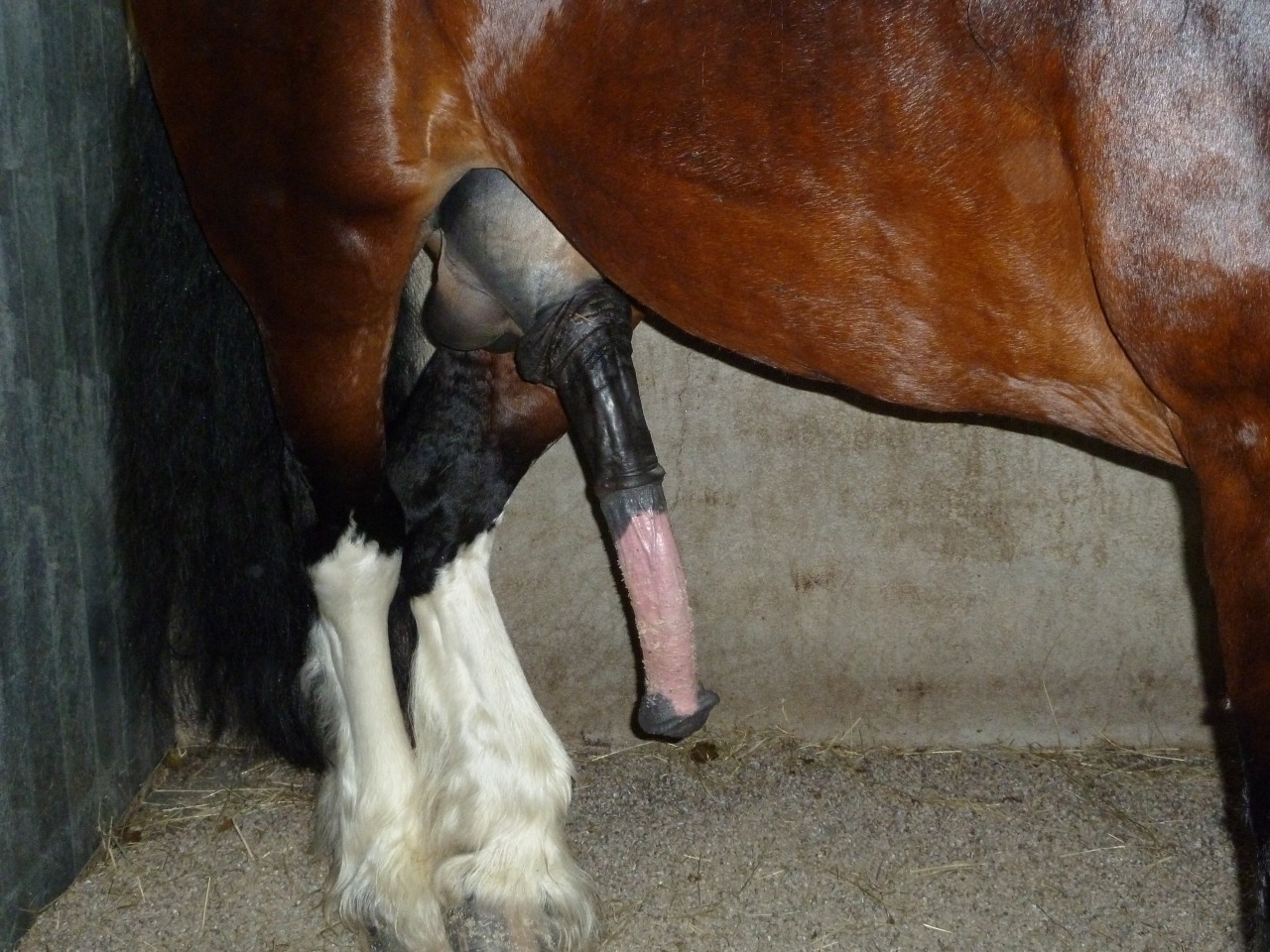 ukhorse:  mmmmmmmmmmmmmm very nice