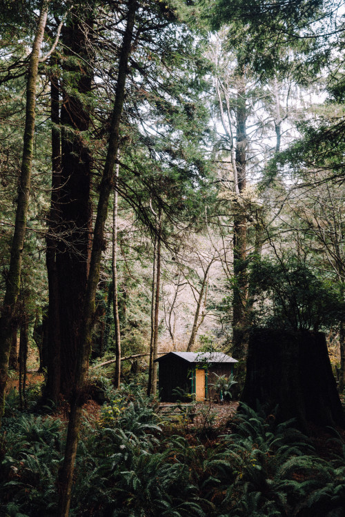 jonahreenders: trinidad, ca By: Jonah Reenders