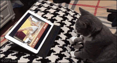 Ohigara Tumblr Com Tumbex