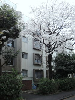 tamazo2: 東京都住宅供給公社北烏山住宅（1966～78年）東京都世田谷区北烏山2016 