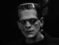 classichorrorblog:  Frankenstein (1931) 