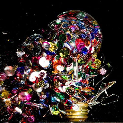 expose-the-light:High Speed Photographs of Exploding Lightbulbs Filled with Objects