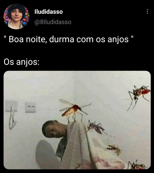 seu-bobo-da-corte: