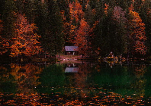 Lakeside Cabin… via american forests