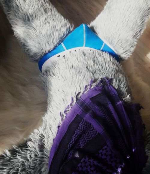 brucethespottedhotdog:My lovely blue underwear~This pair of underwear is so comfy <3