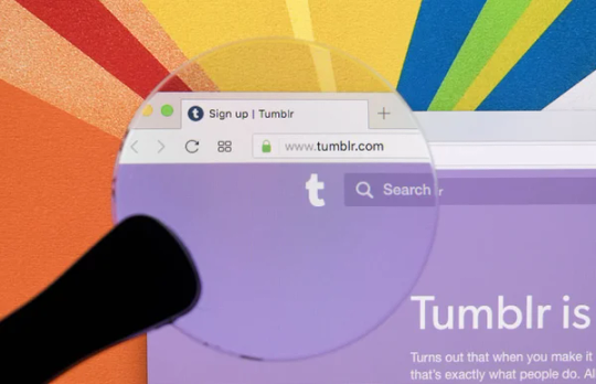 Tumblr media