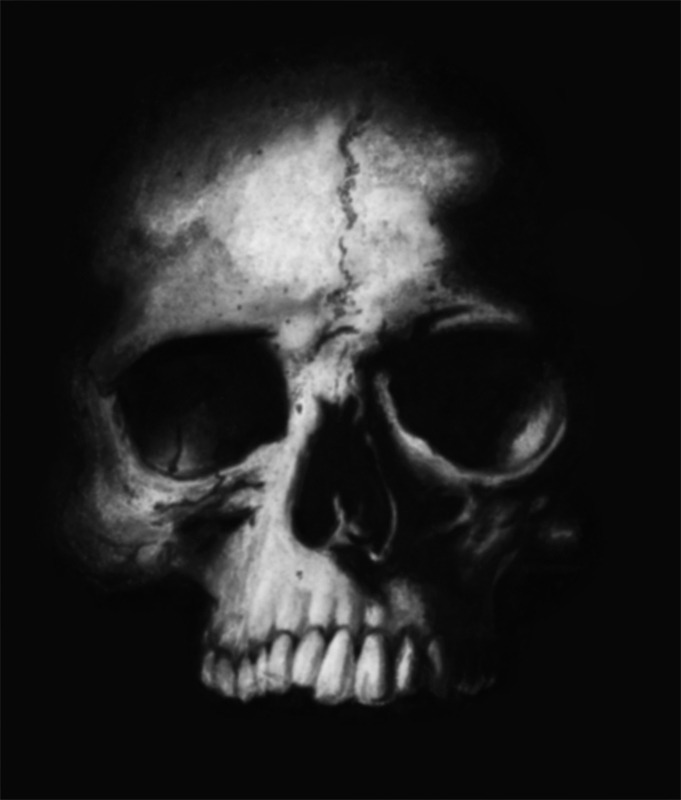 ligafrankorn:  →☠Dark surrealism and skull images here.☠←