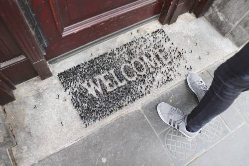 Welcome MatMadrid-based artist Pejac has created a stunning hand painted welcome matt made of minusc