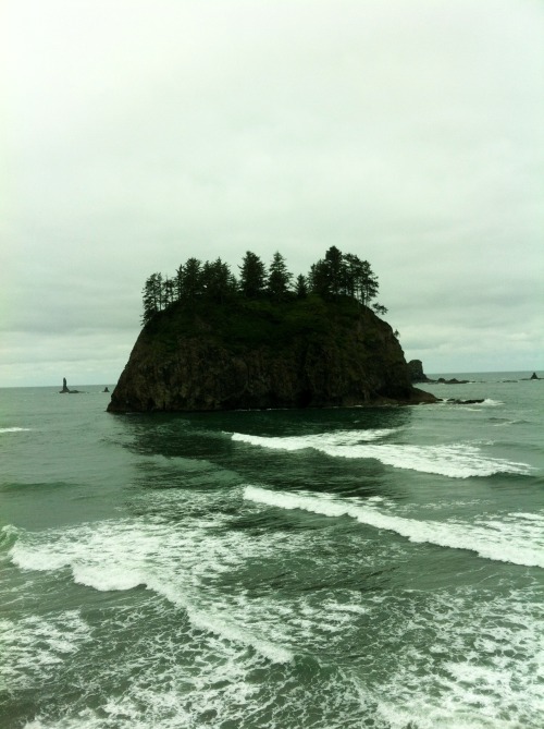 Second Beach, Olympic Peninsula 