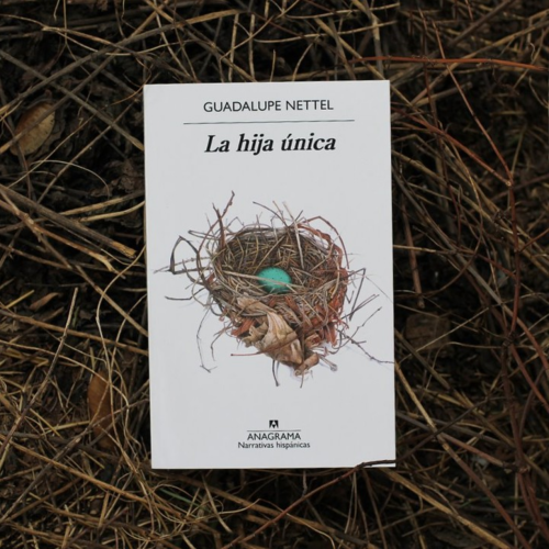 leer-reading-lire