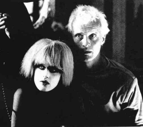 limbosite:Rutger Hauer and Daryl Hannah, Blade Runner, 1982. Classic, Amazing ImageThe Mulitple endi