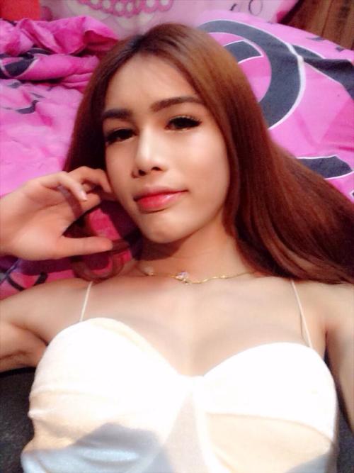 #Thailand #Ladyboys #Pattaya #Bangkok #Kathoey #Ladyboy #Katoey #Thai #Shemale #Sissy #TGirl #Trap #