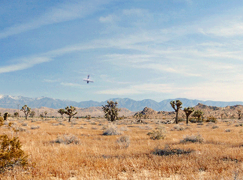 jocomers:PALM SPRINGS (2020) | DIR. MAX BARBAKOW