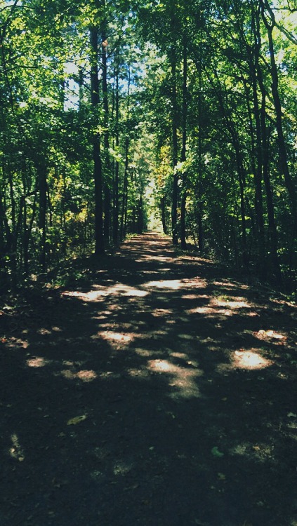 alittlebitsouthern:  hard to hate running when this is your trail