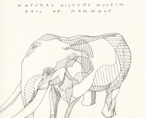 This one time I got bored at the museum so I drew an elephant. Yeah.