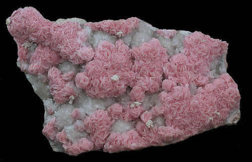 Romanian Rhodochrosite rosettes on Quartz