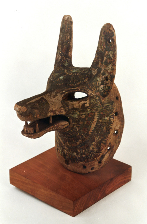 Head of Anubis, the jackal-headed god associated with mummification and the afterlife in ancient Eg