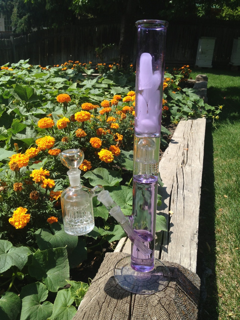 damnnlyssa:  opalust:  smokin out in the garden, you can see our bees are doing wonders