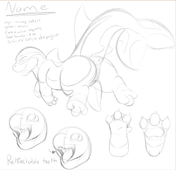 Working On An Adorable Orca Dragon Adopt That Will Be Going For A Flat Rate Of Just