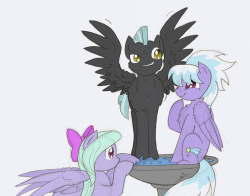 shootingstarsafterdark:  Springtime Pegasi