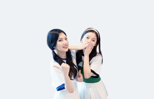 velvetjoy:  “I have the youngest age gap with Joy so we go well together, and I can comfortably make jokes with her.” - Yeri 