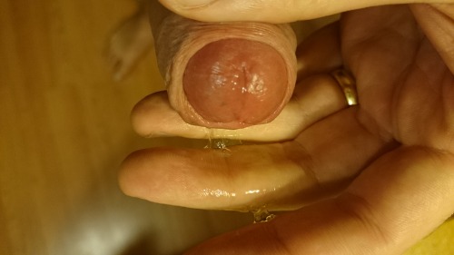 pre-cum