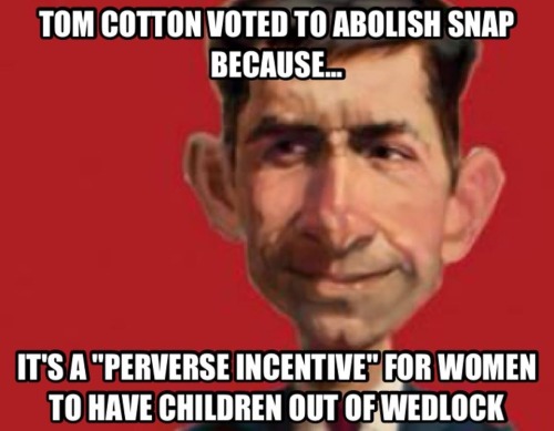 TOM COTTON, PHYLLIS SCHAFLEY, AND WOMAN HATIN’: TOMMY AIMS TO PLEASE  By Jane X  Tom Cotton ha