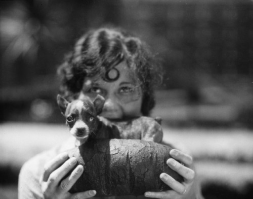 red3blog:yesterdaysprint:Hot dog, Long Beach, California, ca. 1929Routine reminder that humans have 