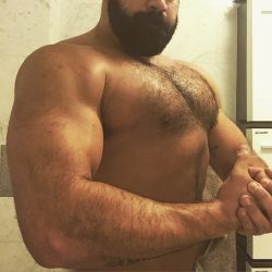 malefeed:  samurbi:  Step by step…. 137kg