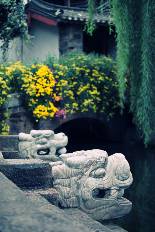 floralls:Autumn at Lijiang old town, China byNgoc Hung