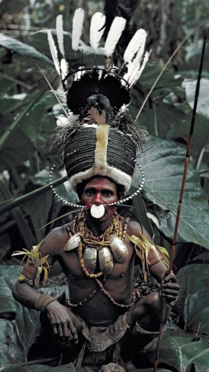 Papua New Guinea1. Photo by taiger808 on flickr2. Kalam tribe from Simbai