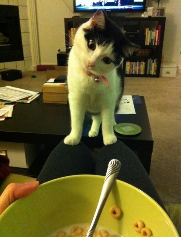 catasters:  &ldquo;I want!!&rdquo;