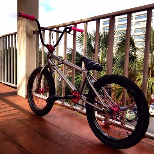 edgeunite: @christopherpizz bike in fl under the palm trees :) edgeunite.com #bmx #ridaz #pink #kink