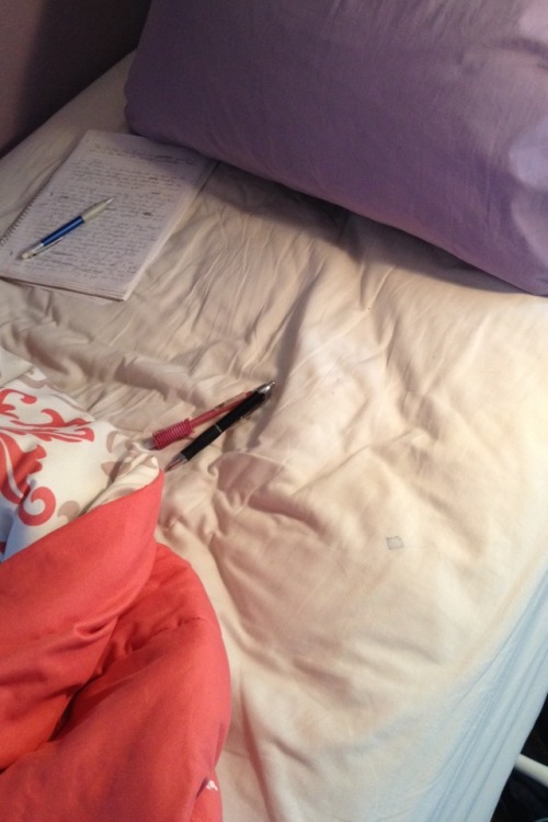A writer’s natural habitat can be identified by the writing utensils stashed everywhere just in case