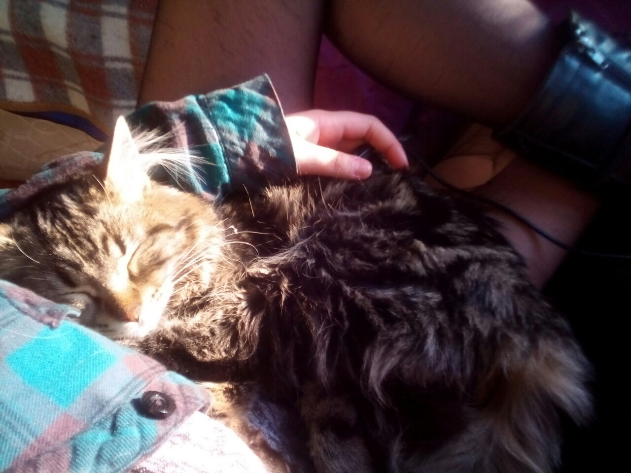 son-solo-palabras:  She just loves to use me as a pillow