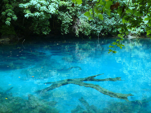 Blue Lagoon, Vanuatu by Jan Kokes