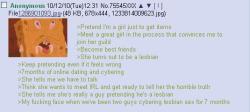 Tales of 4chan